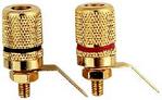 (image for) Gold 4mm Terminal Pair (AML54G)