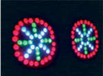(image for) Lighting Effects